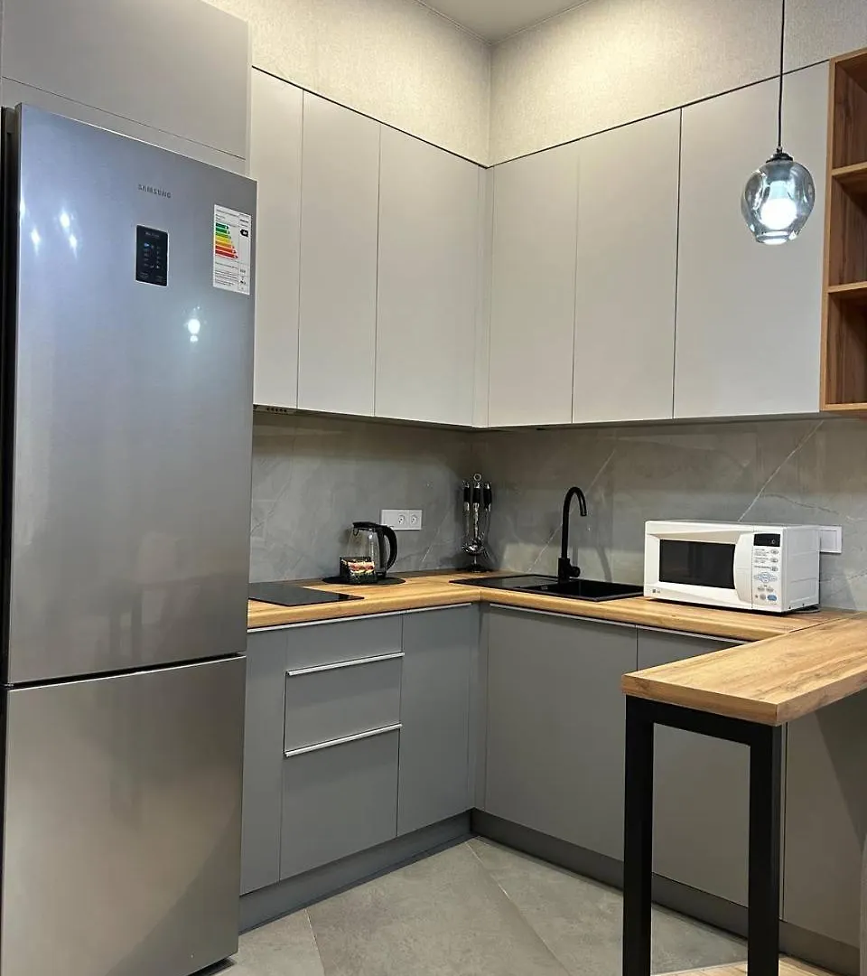 Apartment Комфорт И Стиль Для Отдыха И Работы Almaty Kazakhstan
